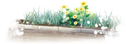 [길섶에서] 아너소사이어티 2668호/진경호 수석논설위원