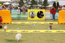 즐겨보시개… 핫한 파티, 쿨한 물놀이