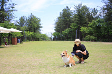 즐겨보시개… 핫한 파티, 쿨한 물놀이