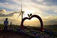 무더위 와르르  지친 몸 스르륵 ‘약물’ 맞아봤수