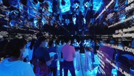 한 달 만에 9000명 찾은 포도뮤지엄, 인기 왜