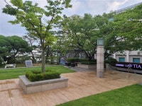 말 4만 마리 뛰던 살곶이 목장터엔 조선 궁기병 함성 들리는 듯 [김별아의 도시 기행문-서울을 걷는 시간]