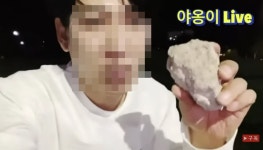 “짱돌로 보냈다”…‘캣대디’ 유튜버, 천연기념물 수리부엉이 학대 논란