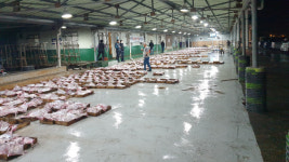 흑산도 홍어 능가하는 군산 홍어시대 열렸다…주산지 군산으로 이동