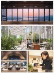 조식 서비스·인피니티 풀·야외 골프장·반려견 케어까지… 요즘 아파트, 매일 호캉스
