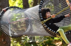 맘껏 숲 놀이… 아이들 문득 깨치다[포토다큐]
