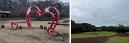 이질감 주던 하트도 와패도 철거… 돌문화공원, 제주다움의 본색을 되찾는다