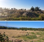공설묘지 이용률 뚝… 산 자와 죽은 자가 공존하는 제주 장묘문화가 바뀐다
