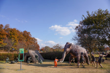 상상력 무한 자극… 구석기로의 시간 탐험[권다현의 童行]