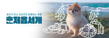 ‘혼저옵서개’ 누르세요... 반려견 숙소·카페가 주르르