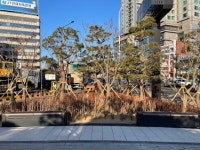 사당역 교통섬의 변신…동작구, 볼거리 있는 쉼터 조성