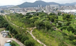 전남도, 도심 생활권에 대규모 도시 숲 조성