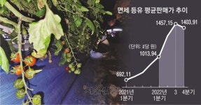 난방비만 4000만원 늘어… “토마토 농사 접어야 하나”