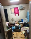 10년간 돼지똥 도맡아 치운 직원 죽자 야산에 버린 농장주 구속