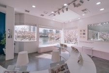 벚꽃과 전시회 컬래버…송파 ‘토끼의 정원展’