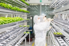 ‘스마트팜’에선 청년농부가 자란다