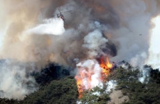 “아무것도 못 챙기고 도망쳤다”···서울 인왕산서 축구장 20개 면적 화재