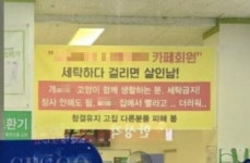 “걸리면 살인남” 고양이 빨래에 분노한 코인세탁소 주인