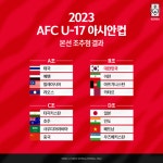 몸살 앓는 연령별 월드컵…U20 이어 U17 대회도 개최지 변경