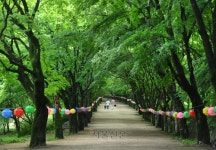 신록 넘실대는 단풍산에서 일상은 잊고 봄빛에 취한다