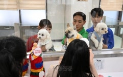 김포공항에 반려견 맡기고 여행 떠나요