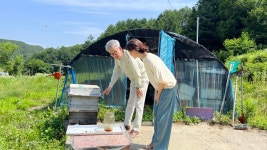 ‘버려졌던 신들의 꿀’…국내에서 첫 감로꿀을 생산한 정순조씨 <위대한우물>