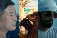 “만수르랑 일합니다”…황우석, 동물 복제하며 사막 정착