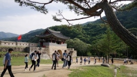 숲·해안길, 트레킹… 힐링, 경북 속으로