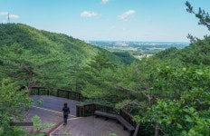 ‘임(林)’ 곁에 쉬련다