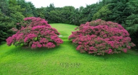 시간은 느림, 공간은 그림, 행복은 울림