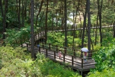 ‘푸른 기와’에도 가을이 깃드네…미술관 품은 한옥, 운치를 더하네[권다현의 童行(동행)]