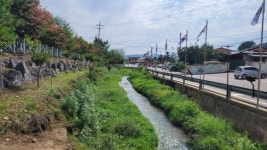 [르포] 사람 못 살 동네가 4년 만에 이렇게… “삶의 질이 달라졌어요” 영동군 장동 2리에 생긴 일