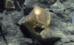 알래스카 3㎞ 심해서 ‘황금빛’ 정체불명 물체 발견 [핵잼 사이언스]