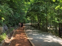 “숲길 걸으면서 힐링” 맨발 여행길 개발 붐