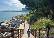 물빛 위로 가을이 파도친다…별빛 아래 세월이 넘실댄다[권다현의 童行(동행)]