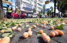 보행로 점령한 은행