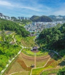 삼척 도심 한복판에 ‘명품숲’…인의예지림 개장