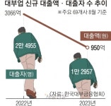 대출금리 20% 제한의 역설… 대부업체마저 외면, 사채 몰리는 서민