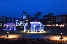 동대문구, 전농동 지식의 꽃밭에 겨울맞이 조명옷