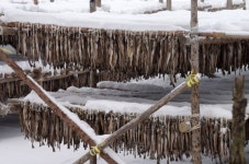 바람의 언덕 지나 계곡길 따라, 첫사랑 같은 얼음꽃이 피었네