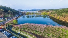 인공 시설물 지어… ‘반곡지’ 풍광 망가뜨린 경산시