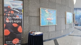 어쩌다 해녀가 된 화가 “해녀 되고 싶다면 먼저 삼촌과 친해지세요”