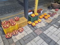 “금값된 과일·채소, 너무 비싸 ‘막판 떨이’ 아니면 폐기도”…사는 이도 파는 이도 ‘악 소리’[위기의 밥상]