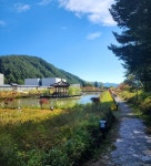 오대산 천년고찰 월정사와 전나무숲길 ‘힐링’ 산책 [두시기행문]