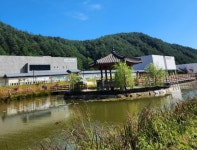 오대산 천년고찰 월정사와 전나무숲길 ‘힐링’ 산책 [두시기행문]