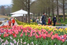 순천만국가정원에 ‘우주선’이 떴다… 관람객 1000만명 시대 포부