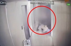 여친 성폭행 막다가 ‘11세 지능 장애’…가해자 “평생 죄인으로 살겠다”