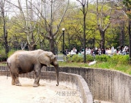 다음 내릴 곳은, 우리 가족 추억 쌓기 역입니다[조현석 기자의 투어노트]