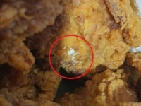 “어머! 파리알 아냐?”…대형마트 치킨서 파리 ‘꿈틀’