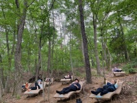 꿀잠숲·놀이치유숲…관악산도시자연공원으로 놀러 오세요